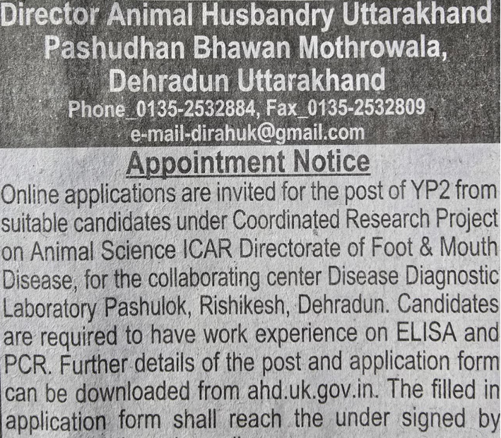 haridwar classified, government jobs 2026, private jobs 2026, corporate jobs 2026, dehradun jobs 2026, uttarakhand jobs 2026, 2026 jobs listing, best jobs of 2026, job listing by nikhil ranjan, haridwar classified_4,haridwar classified, haridwarclassified, hardwar classified, #haridwarclassified, digital marketing expert nikhil ranjan, nikhil ranjan nielit haridwar, best digital marketing agency in haridwar, #ekaansh, niikhiil, #hardwarclassified, best classified in haridwar, #haridwar, #classified, classified services in haridwar, online classified service in haridwar, digital marketing company in haridwar, best digital marketing company in haridwar, best digital marketing company in uttarakhand, e classified in haridwar, online classified in haridwar, #ads, online ads in haridwar, ads haridwar classified, cyber expert nikhil ranjan, cyber expert in haridwar, about haridwar city, aspirational districts in uttarakhand, aspirational district haridwar, facebook marketing haridwar, instagram marketing haridwar, twitter marketing haridwar, linkedin marketing haridwar, google adwords haridwar, google adsense haridwar, affiliate marketing haridwar, koo marketing haridwar, social media marketing haridwar, e newspaper haridwar, local classified haridwar, online classified service haridwar,